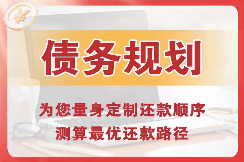 宁德债务规划